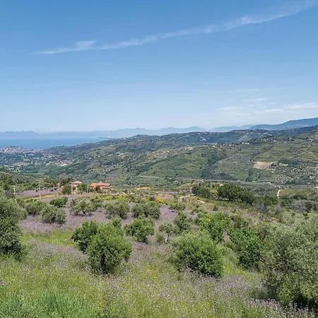 1 Bedroom In Sa Apartment Laureana Cilento